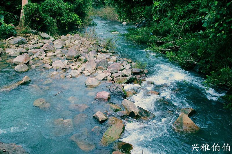 海南哪里适合养老定居,海南哪个市最值得旅游居住