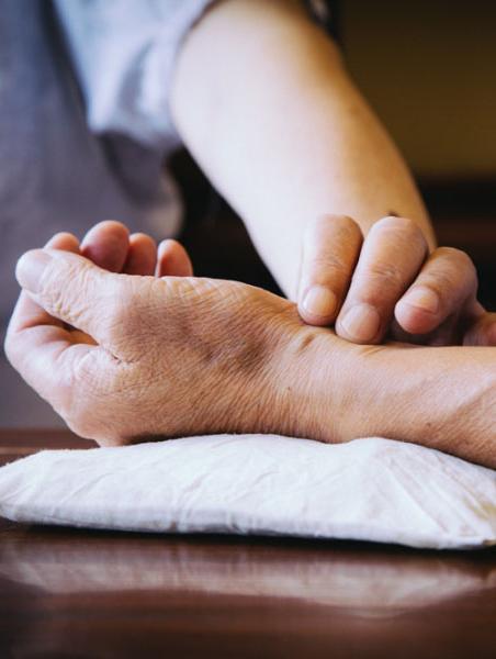 湖州晚报丨老梅虬影亦芳华