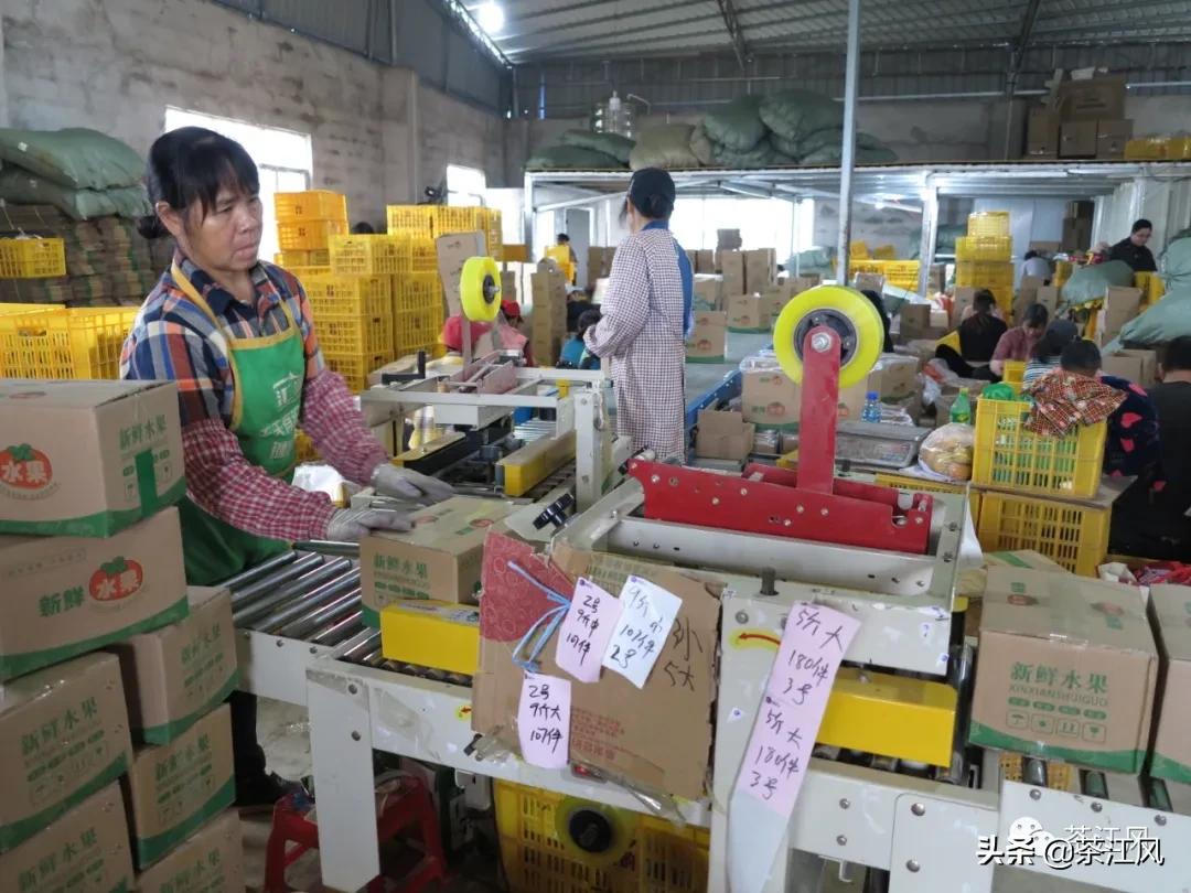 贫困县扶上马送一程,扶上马送一程确保脱贫经得起检验