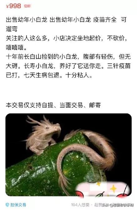 闲鱼神兽出售,闲鱼上买神兽靠谱吗