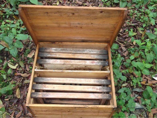 土养中蜂蜂箱新发明,老蜂农蜂箱