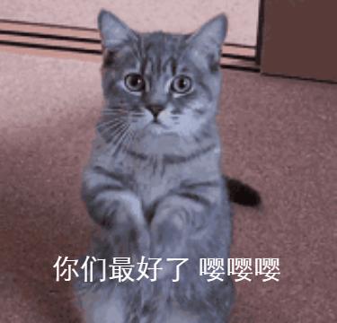 企业起名十大要点,企业起名有意思的