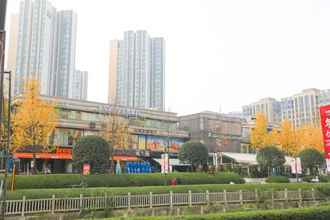 周末去哪儿亲子游,周末去哪儿耍浪漫又实惠