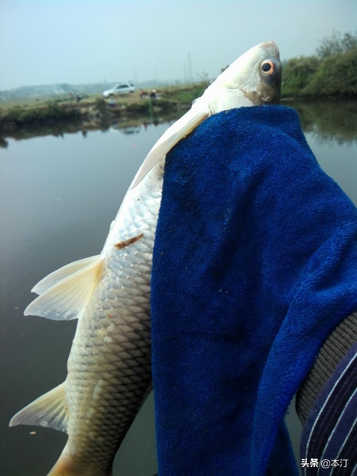 钓鱼怎么选择窝子,石窝钓鲤鱼钓法