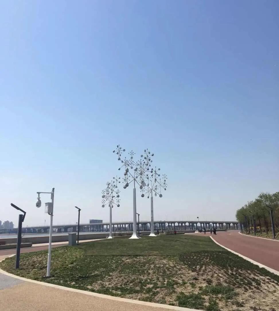 一个不出郑州的踏青好去处,天津春游公园推荐