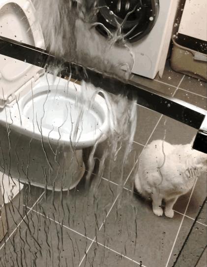 住新家除醛最好的方法,住新家注意事项