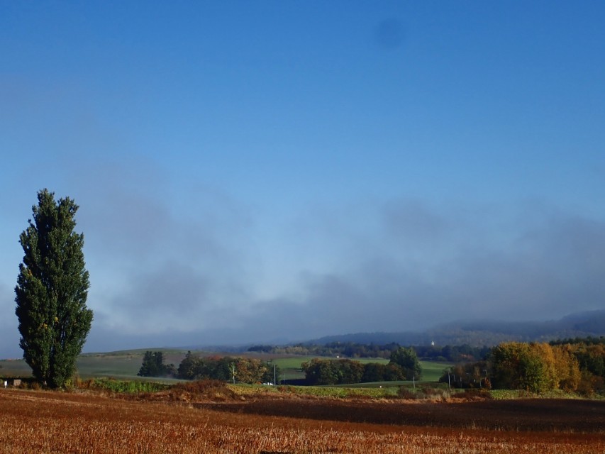 北海道登别到美瑛町需多久,日本北海道美瑛川的雪景