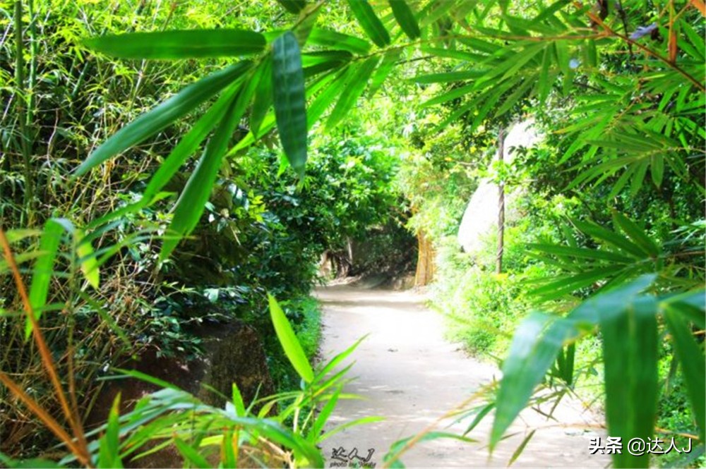 小天越南直播,小天独家视频全集