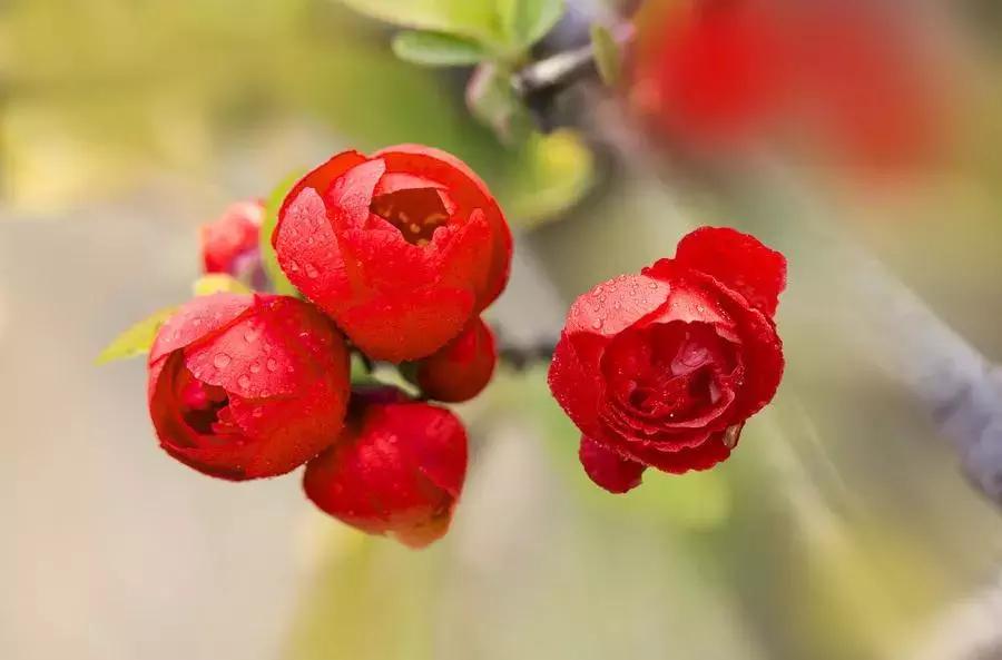 宋扬小说欣赏——生活用力过猛