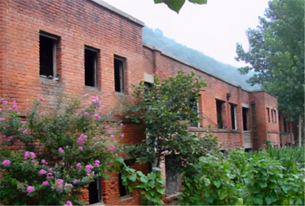 白手起家创业成功真实案例,25岁小伙创业3次赚17000万