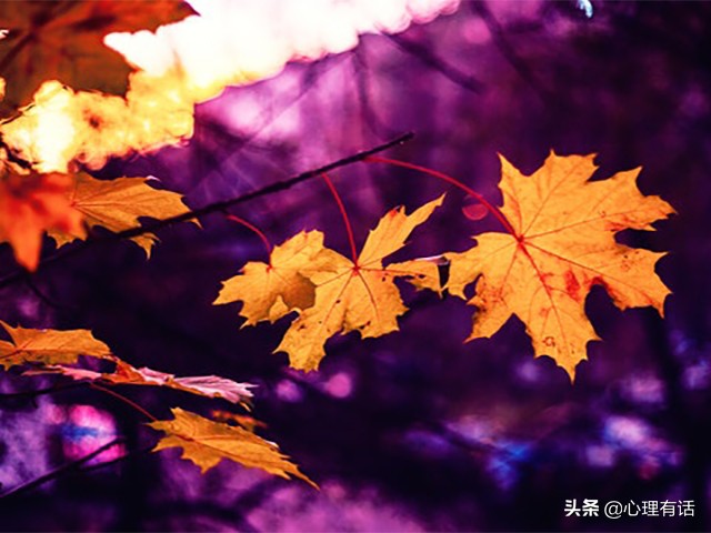 提了分手就无法挽回的星座男,千万不要轻易和这五个星座分手