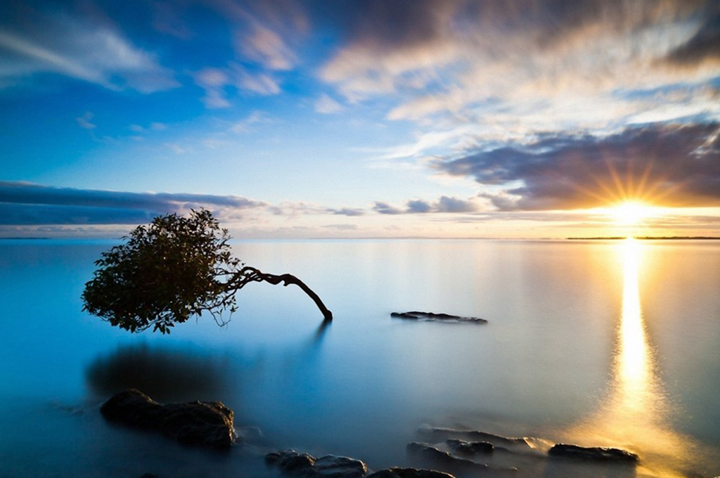 研究生真的有用吗,研究生有多大用处