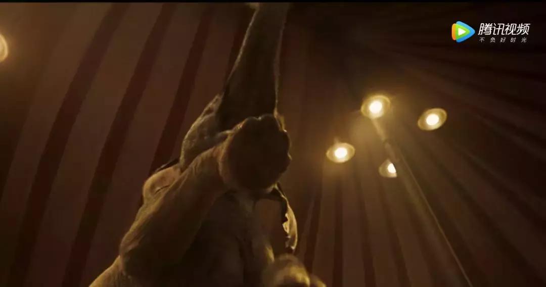 谁喜欢小飞象,谁还记得以前的小飞象