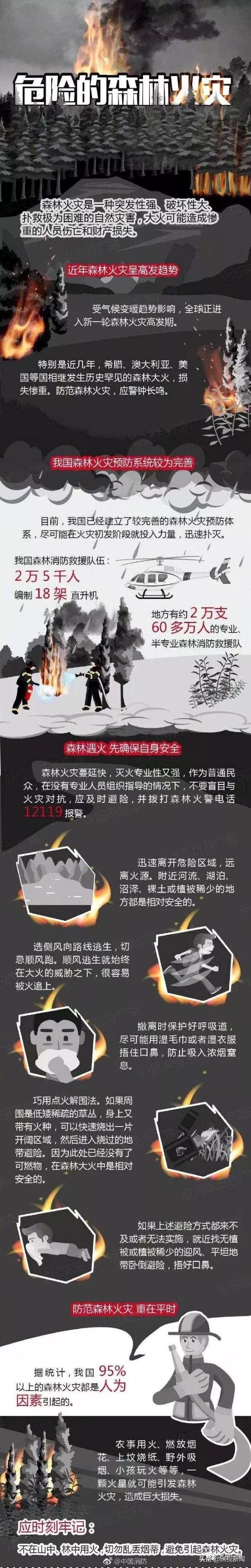 山火发生和救援时惊心动魄的过程,扑火队火场