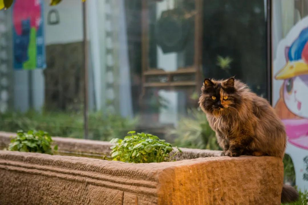 大家期盼的真实事件,掉缸事件怎么处理