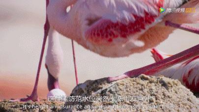 被吹爆的神片,被吹上天的神作