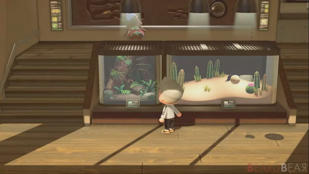 动森为什么会重新开始,动森为什么是神作