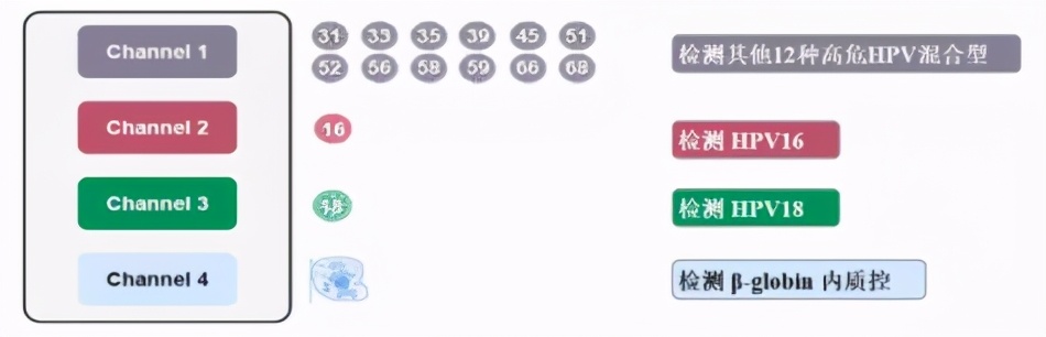 2价hpv疫苗和2价hpv吸附疫苗区别,hpv疫苗深度解析