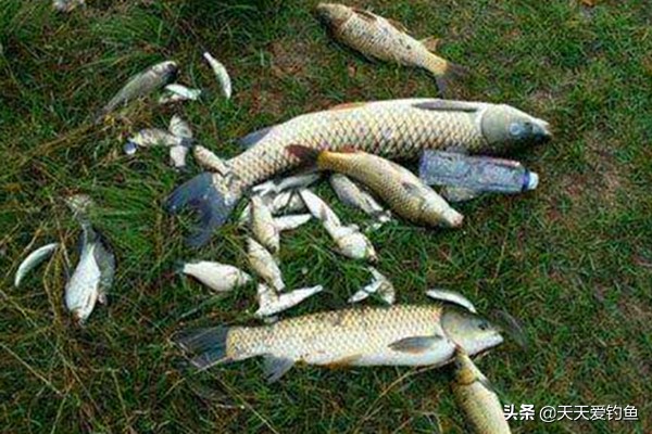 钓鱼无鱼咬钩，要不要换钓位？你还可以这样调整，很快能见效