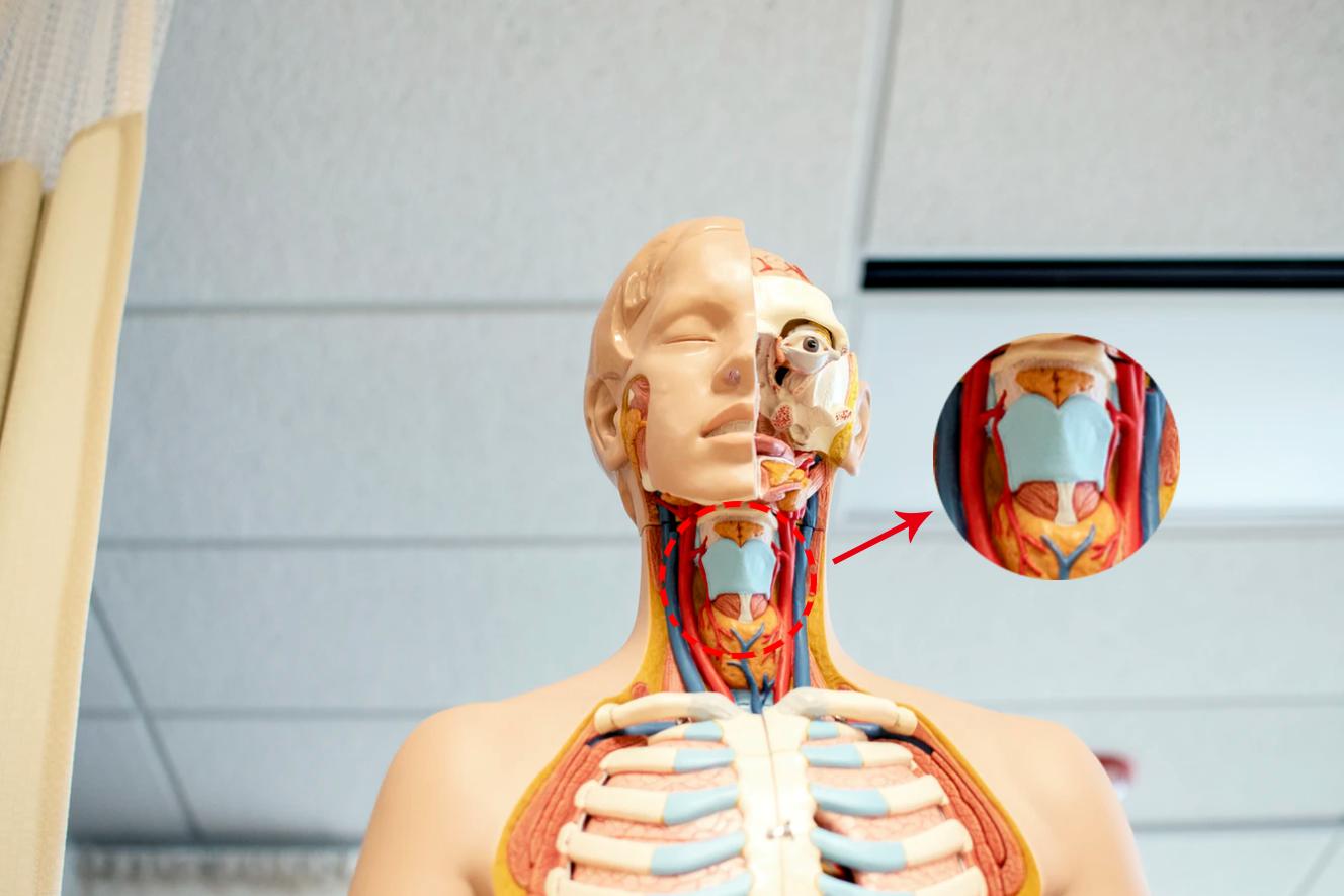 做女人为什么这么难？连生个病都“偏爱”女人？