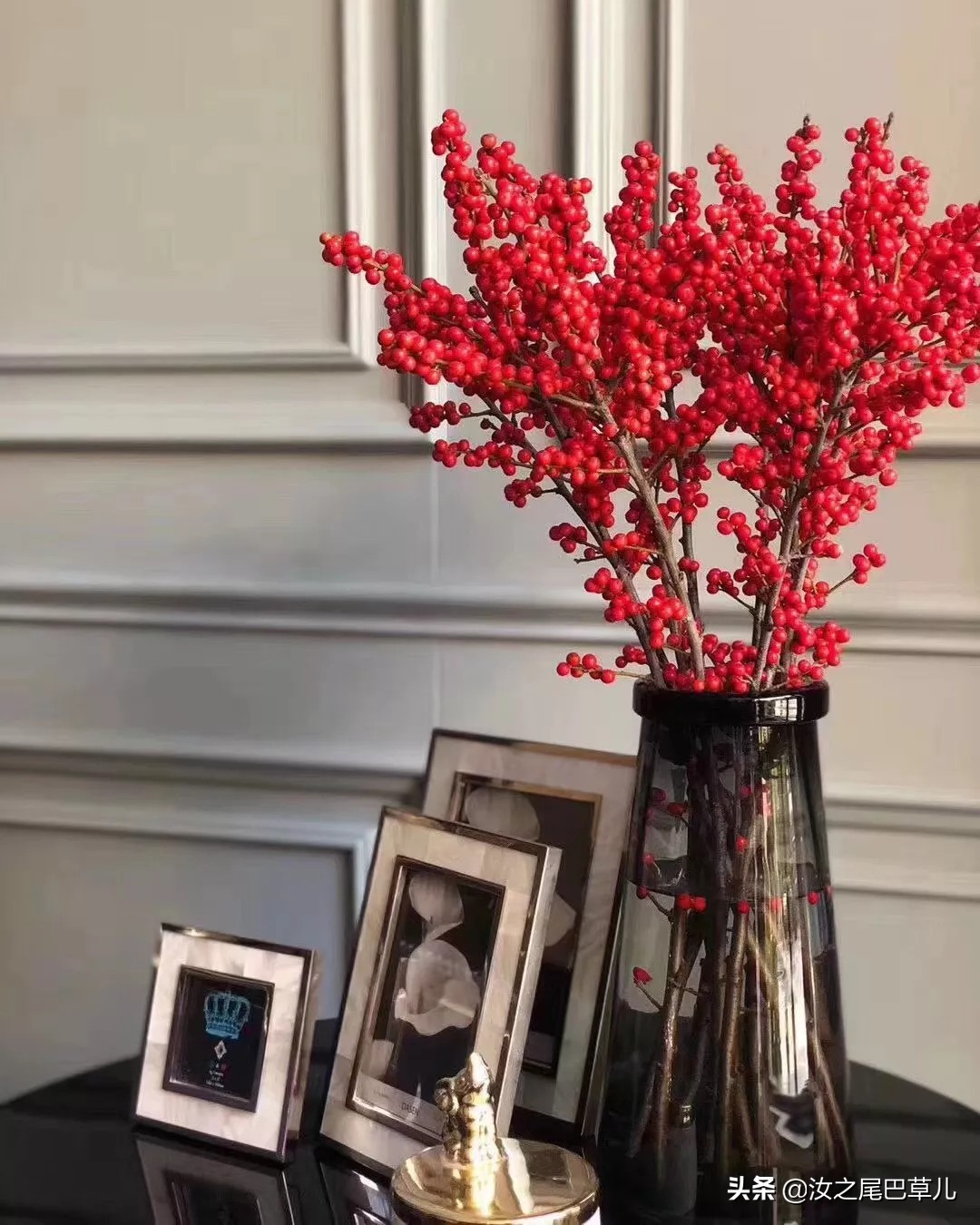 过年最受欢迎的花,北美冬青和金玉珠的区别