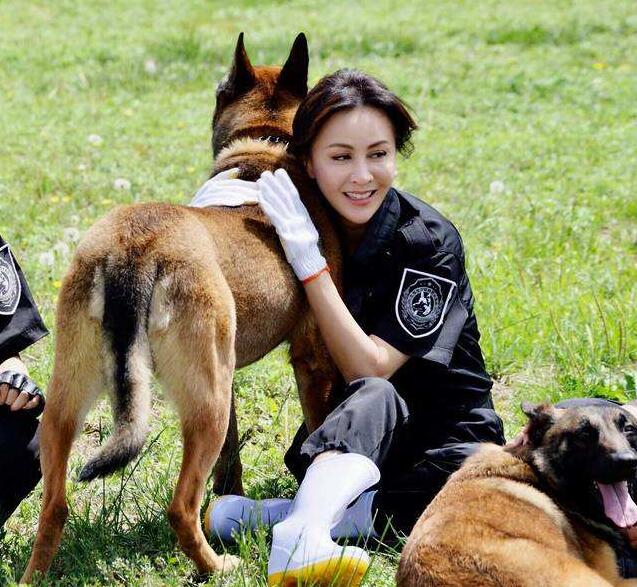 狗狗当警犬是自愿的吗,狗狗当护卫