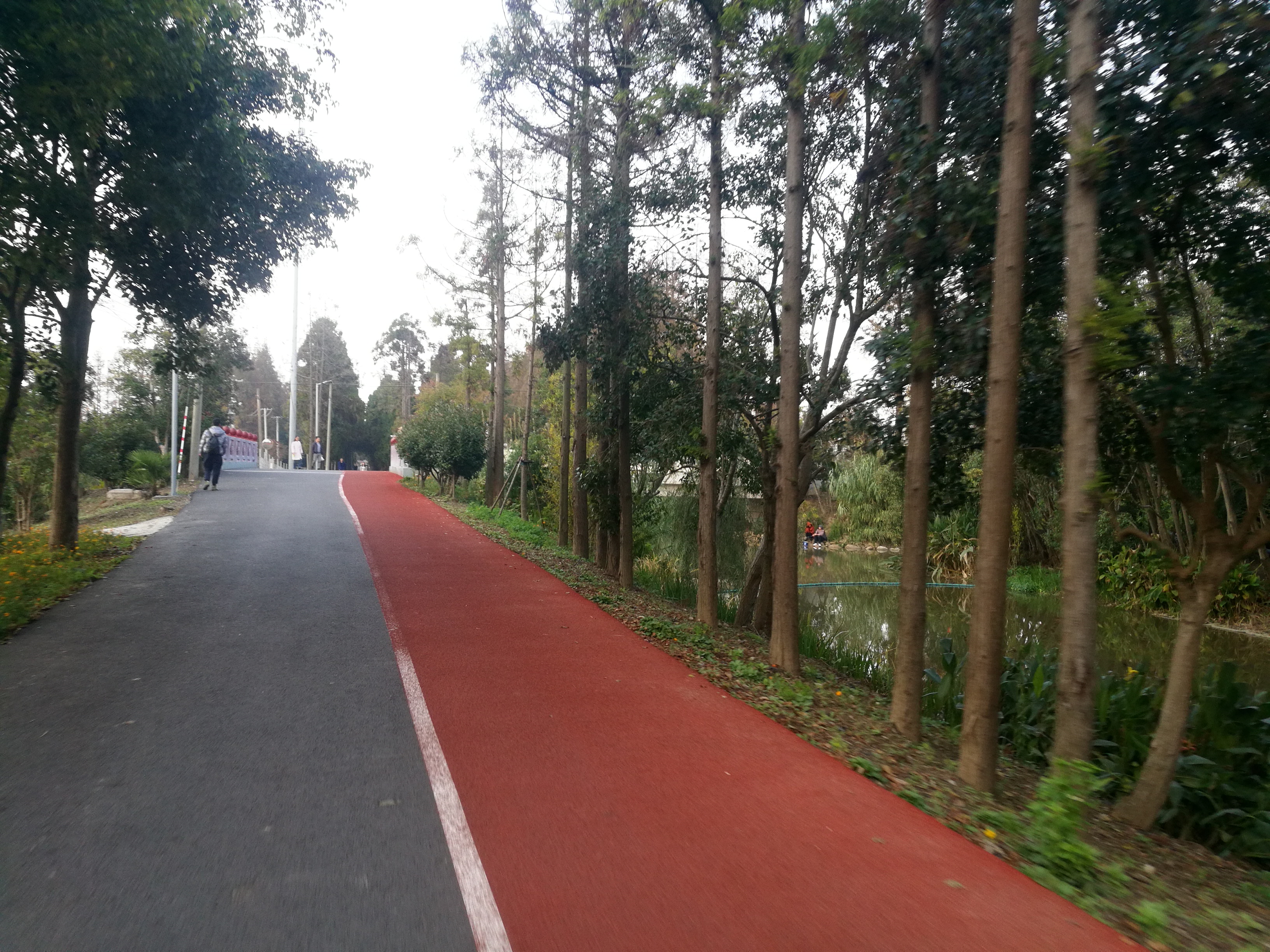 上海崇明岛郊野公园扩建工作,崇明长兴岛公园规划