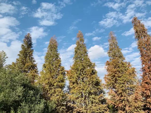 昆明是浪漫又土豪的城市,昆明是个很浪漫的城市