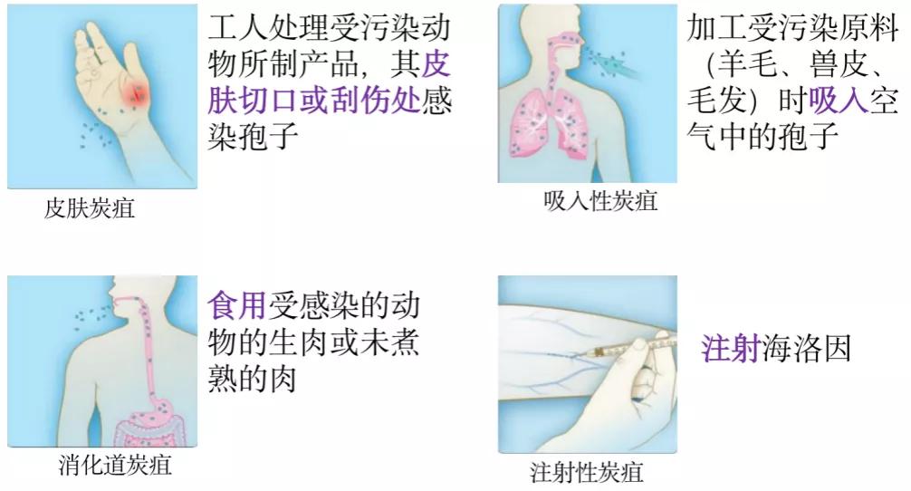 陕西省皮防所直播,陕西省皮防所医院怎么样