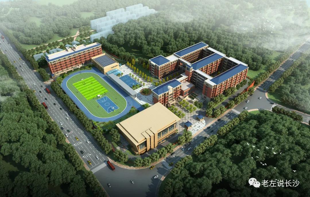 长郡中学家族谱系,长郡家族谱系对照表