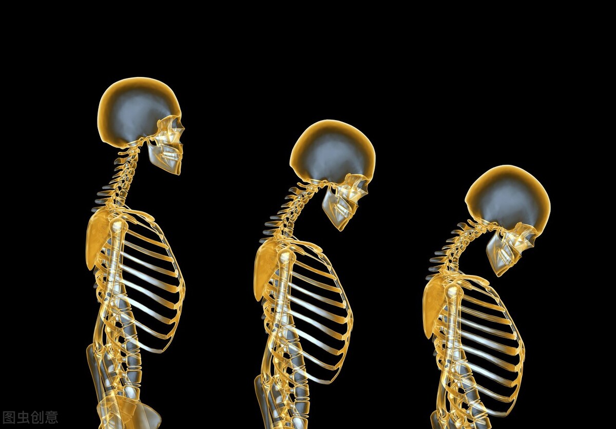 绝经是卵巢功能完全丧失了吗,绝经卵巢衰落