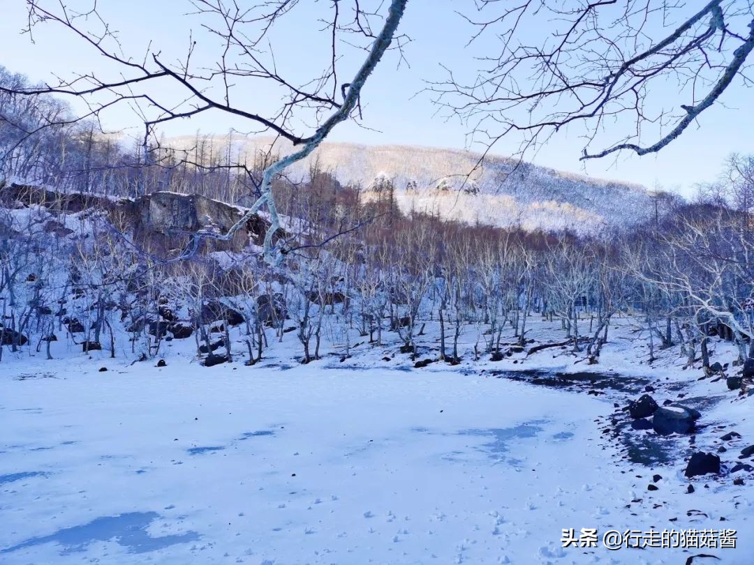 长白山天池猴子泡温泉 (长白山冬天看天池)