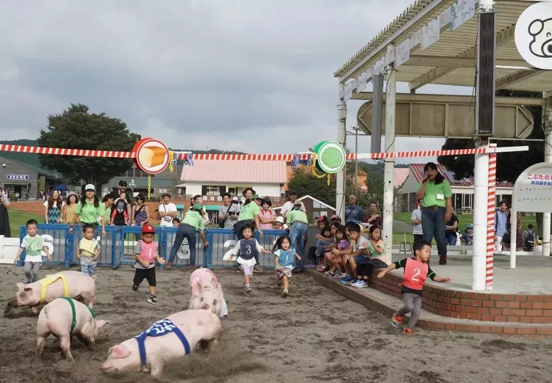 日本生态农业庄园,日本田园农场排行榜