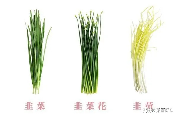 眼霜为什么都比较贵,眼霜有必要买贵的