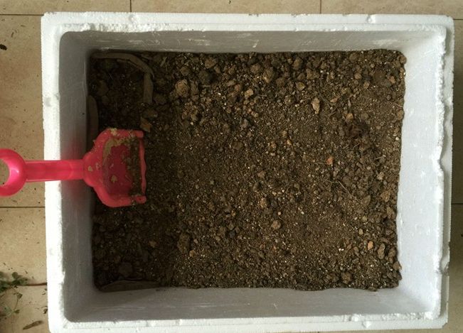 养花最好的颗粒土,碎砖养花的正确方法