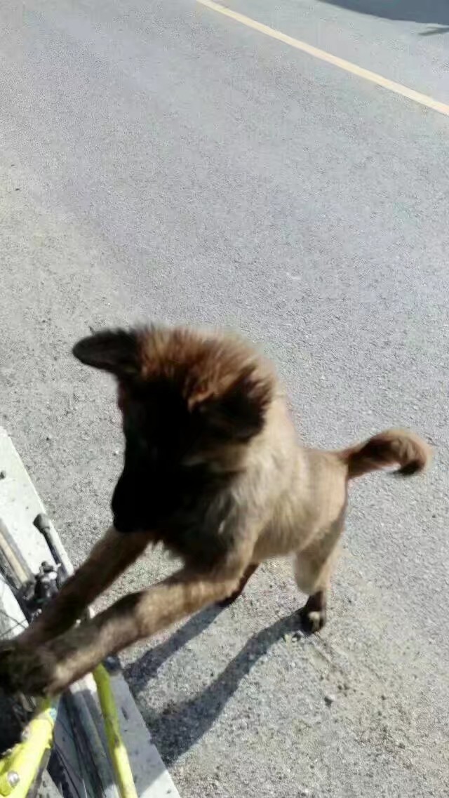 骑行必备物品一览表,骑行川藏线必备物品