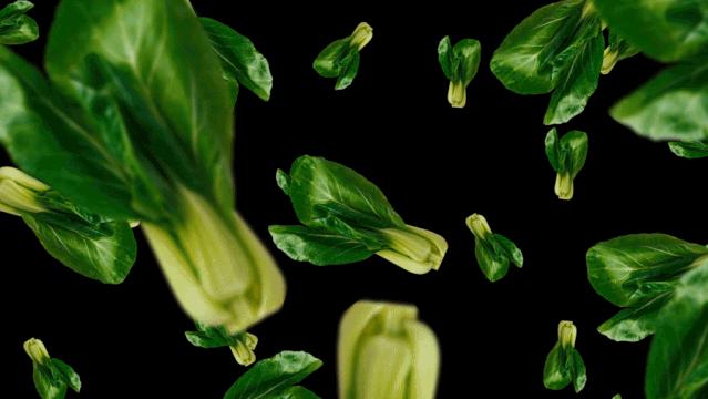 ppt动态环状图制作,ppt多图动态效果制作