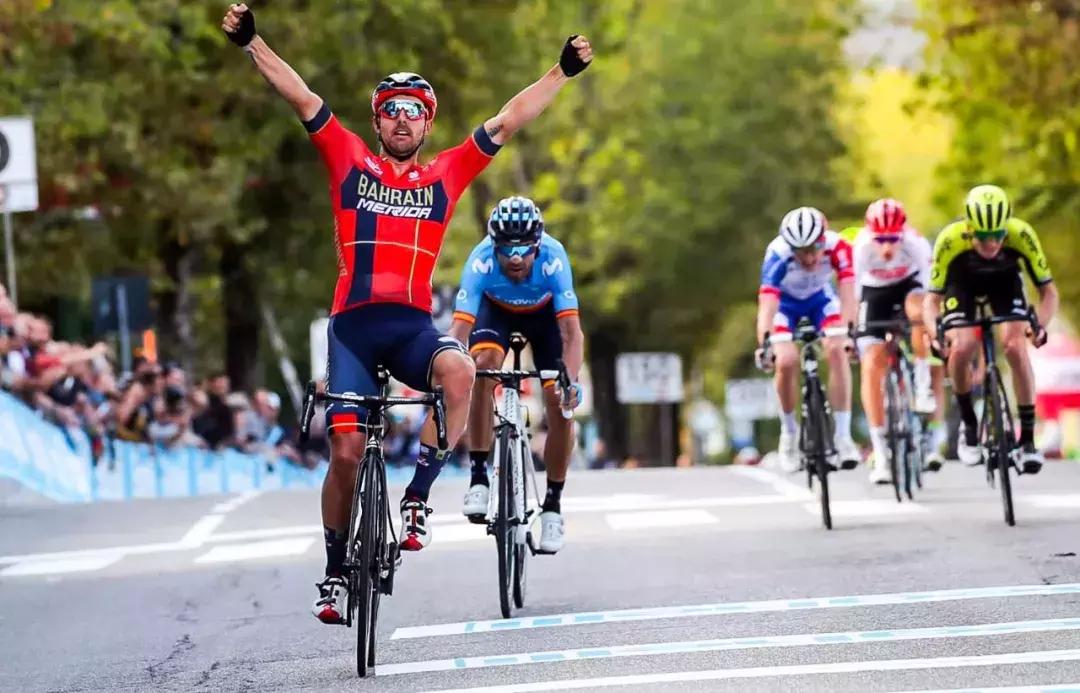 巴林美利达简介,巴林美利达