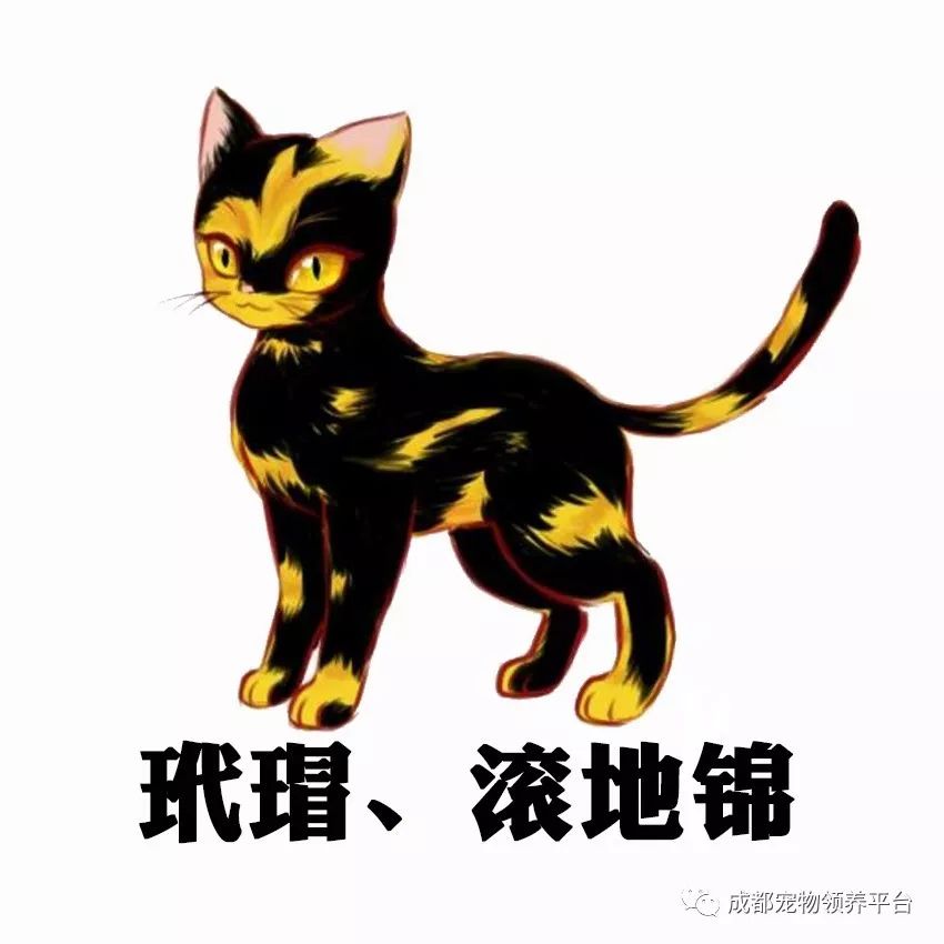 谁说土猫无名猫?快来围观古代猫谱,你家有没有镇宅神兽!