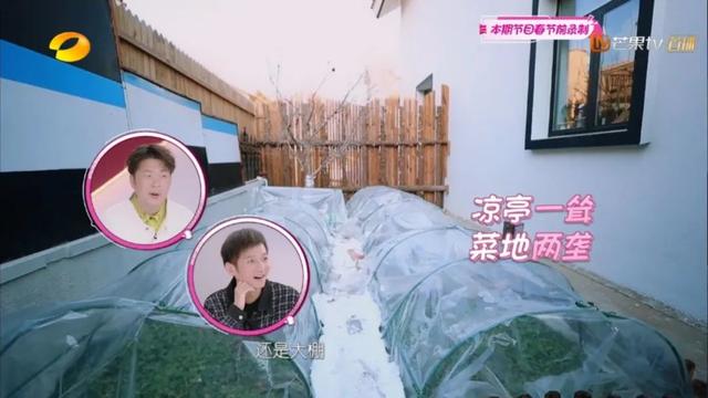 没有逆袭，不是爽文女主，31岁黄雅莉的人生就输了？