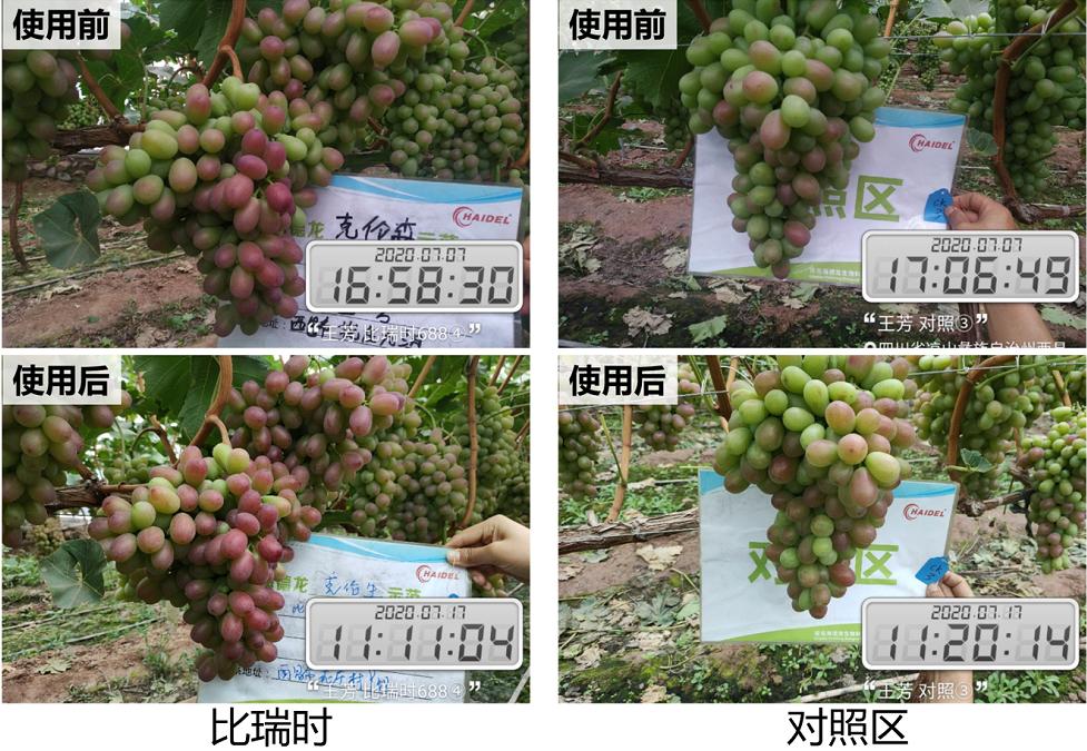 拒绝激素催熟着色，这才是转*界色**的传奇