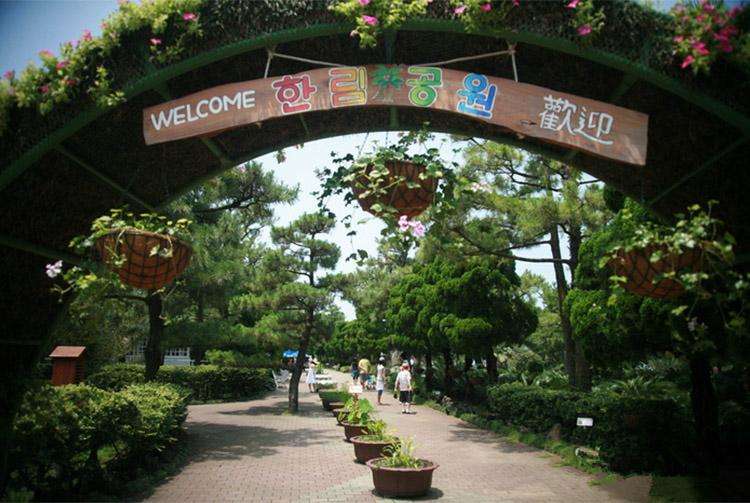 打卡济州岛西部热门景点：绿茶博物馆、GD咖啡厅、山茶花之丘……