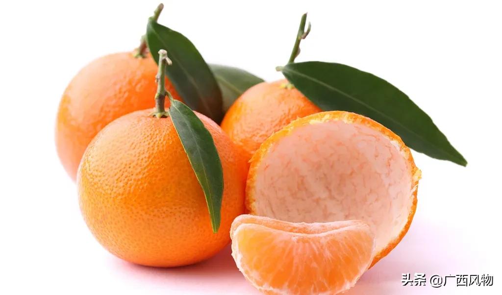 沃柑的最新吃法,沃柑做好看的东西