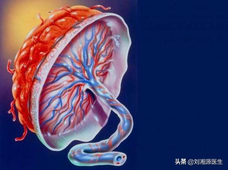 【免疫相关不良妊娠答疑解惑30】——胎膜早破