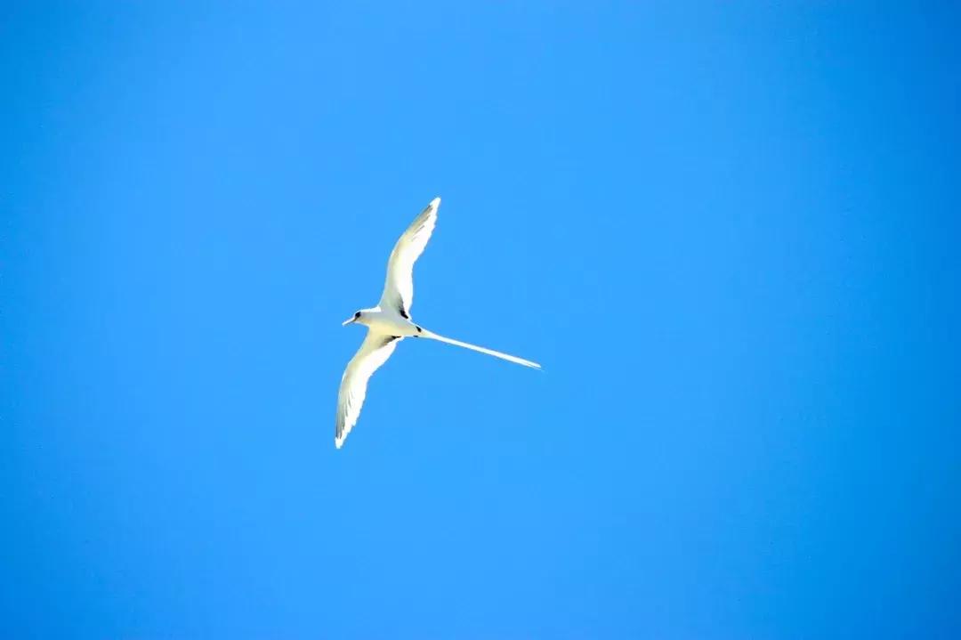 香港冬天徒步麦理浩径攻略,香港麦理浩徒步路线