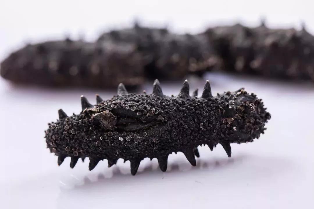 吃海参多算账不吃亏,吃海参3个月的亲身体会