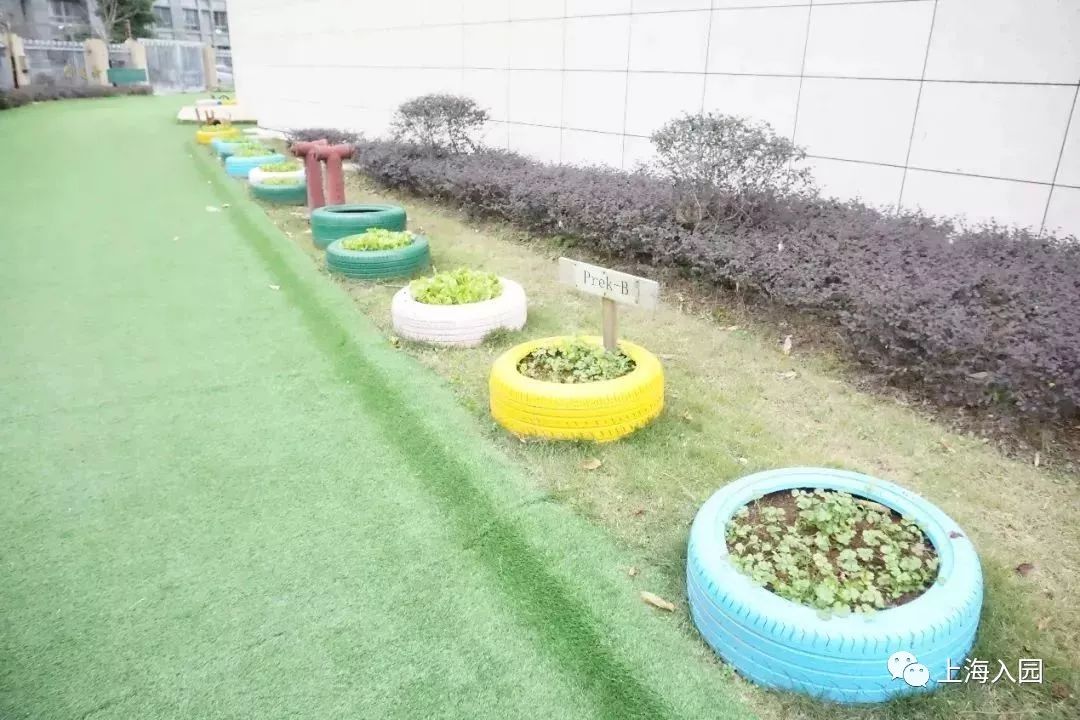 宋庆龄幼儿园教育理念,宋庆龄幼儿园教育园区