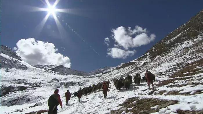 茶马古道不骑马从哪进,茶马古道不骑马