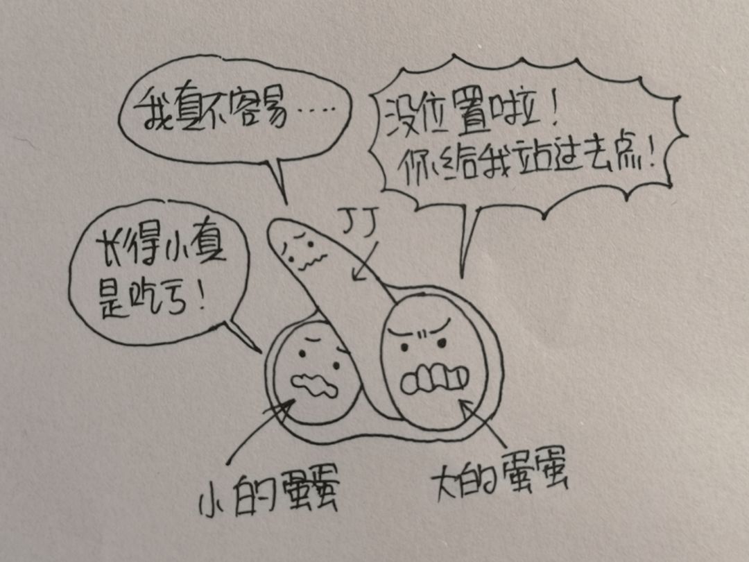 结婚前男女都需要了解哪些问题,结婚前的十大讲究