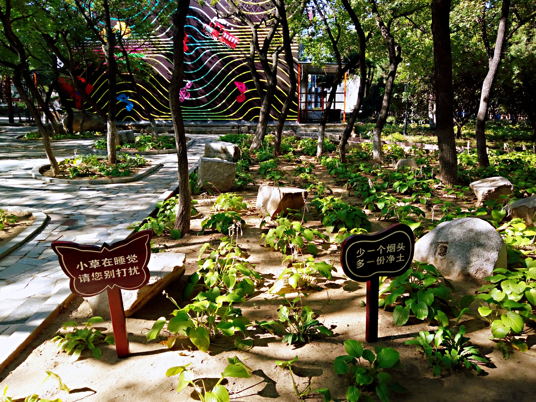 到了北戴河之后怎么去海滨浴场,北戴河怪楼奇园景区今天可以玩吗